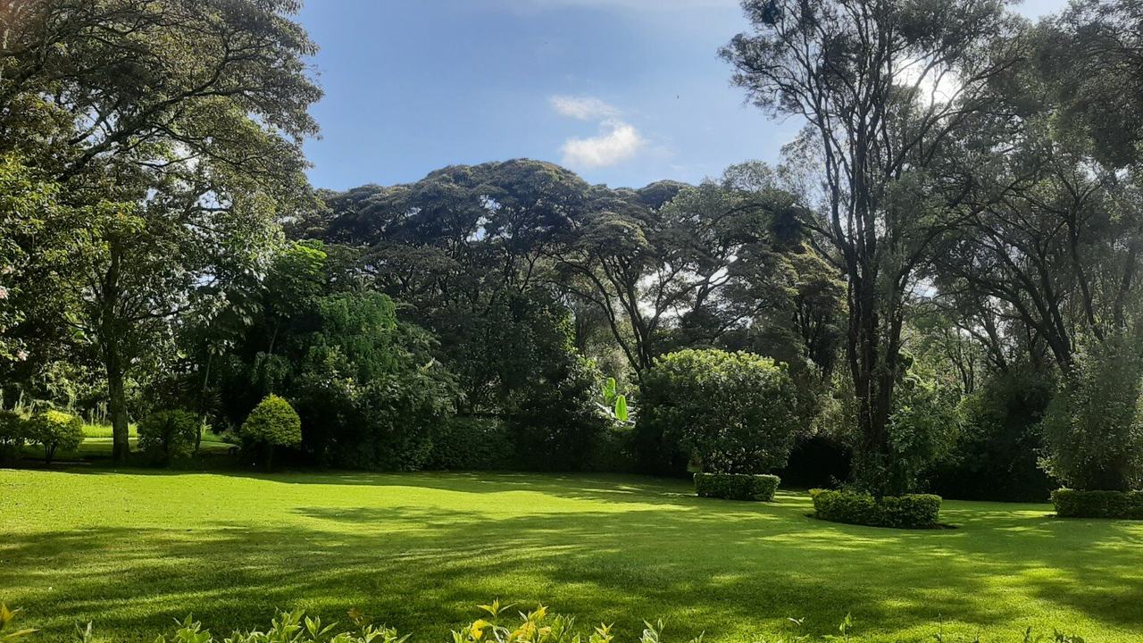 Beautiful green garden event venue