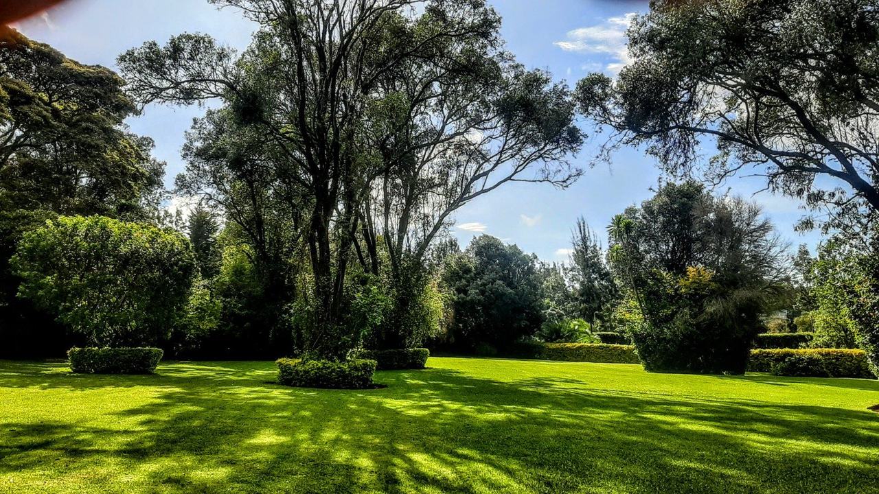 Lush green garden venue prepared for an elegant outdoor celebration