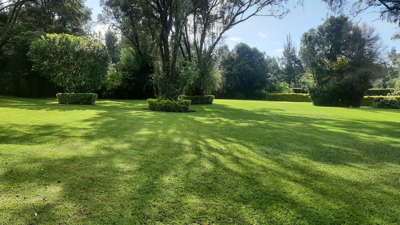 Expansive manicured lawn and greenery creating a refined event backdrop